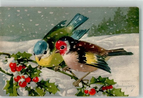 38227614 winter distelfink - -,