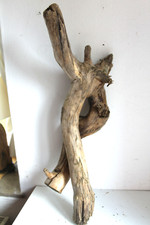 Schwemmholz Treibholz Skulptur