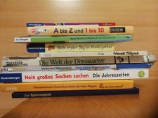 Konvolut 10 Kinderbücher (Sammlung Buchpaket Pfiffigunde Neun kleine Regenmache)