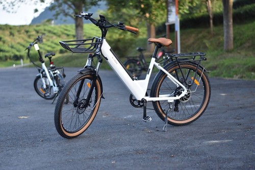 Bike damen zoll - 26,