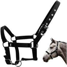 Pferdehalfter Trense Pferd