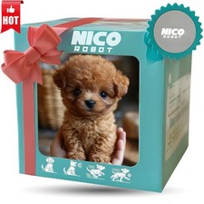 Spielzeug Geschenk Welpe Hund