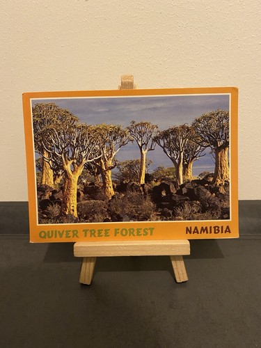 Vintage postkarte quiver - postkarte,