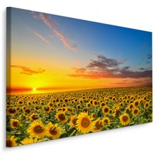 CANVAS Leinwand Bilder XXL