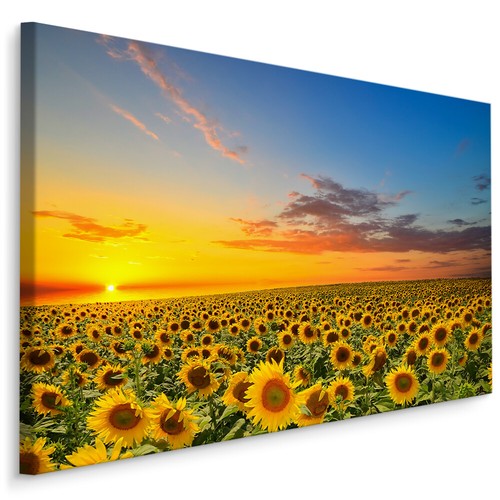 Canvas leinwand bilder - canvas,