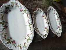 3 Stück Chodziez Polen Rosen