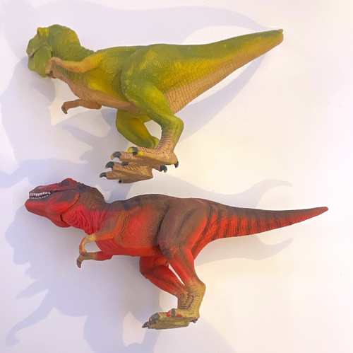 2er set rex dinosaurier von - dinosaurier,