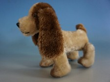 RS0521-054: Alter Hund