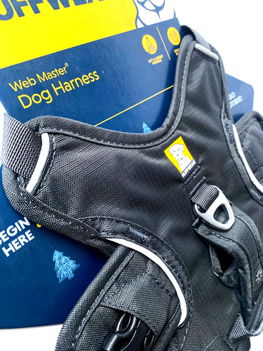 Ruffwear hundegeschirr web - ruffwear,