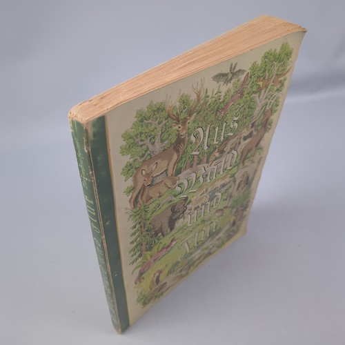 Sammelalbum aus wald - aus, flur
