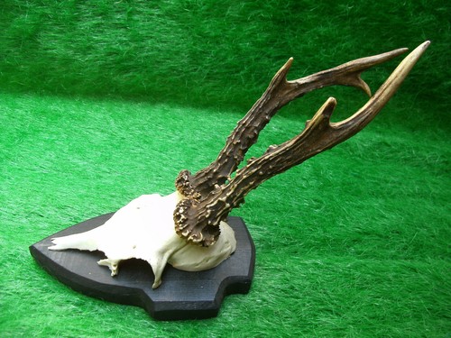 Alter ungerader 6er - alter,
