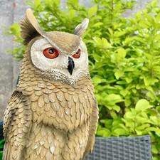 XXL Eule Adler Falke Figur