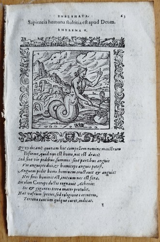 Sapientia humana alciatus - humana,