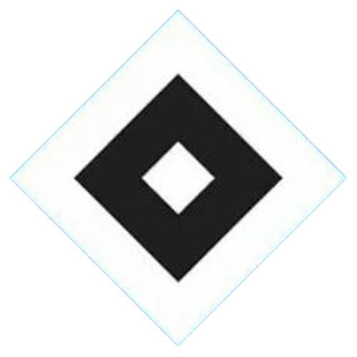 Hsv forever sachbuch david - forever,