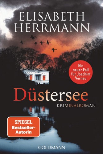 Düstersee kriminalroman - düstersee,