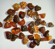 Bernstein - gebohrt,zum Fädeln und Aufziehen-  50 Stück, poliert ,2,3 mm Bohrung