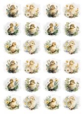 Wasserschiebefolie-Decalfolie-