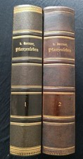 1896 Kerner 2 Bände