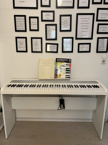 Korg digital piano - digital/e-,