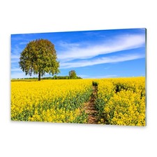 Glasbilder Wandbild Druck auf