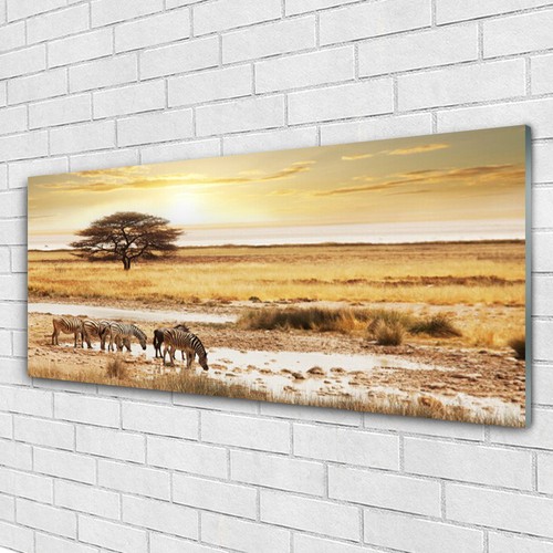Acrylglasbilder wandbilder - acrylglasbilder,
