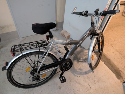Iger pegasus fahrrad - fahrrad, grau