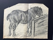 Pferd pferdekopf 1921 - -,