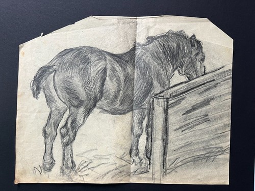 Pferd pferdekopf 1921 - pferd,