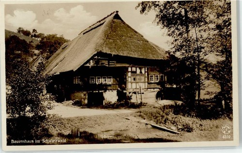 51650234 bauernhaus - 51650234,