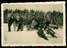 Wehrmacht Soldaten beim Holz Transport mit Pferde Schlitten - WK2 Foto 9x6cm