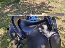 Ludomar Alta Ecuela Flex