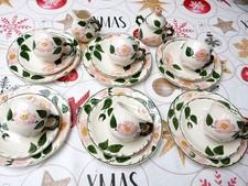 Villeroy & Boch Wildrose . 1 Kaffeeservice , 20 tlg. / ohne Kaffeekanne .  V&B