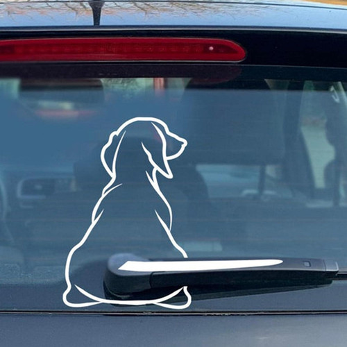 Weißer lustiger hund - weißer,