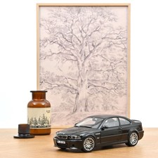 BMW 3er Reihe M3 E46 CSL