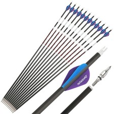Archery 12PCS 31" Carbon
