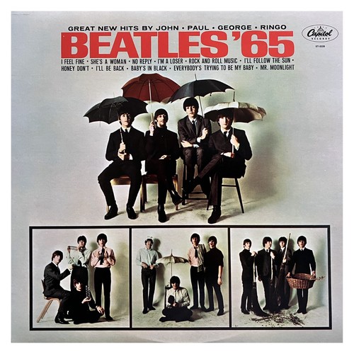 Vinyl the beatles - vinyl,