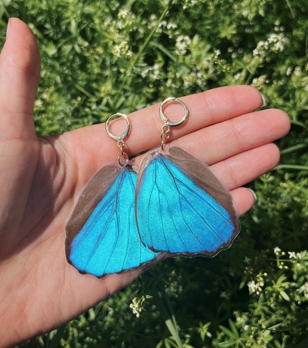 Echte schmetterling ohrringe - echte,