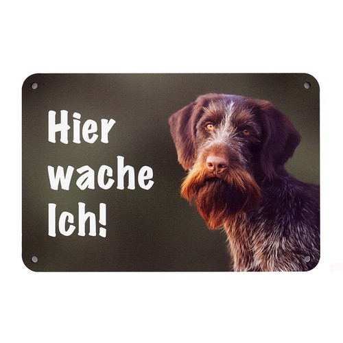 Deutsch drahthaar - deutsch,