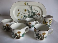 V&B VILLEROY & BOCH BOTANICA 6 TEILE 4 TASSEN ,1 BECHER ,OVALE PLATTE