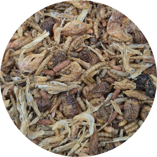 Reptilienmix aus sorten - reptilienmix, 8