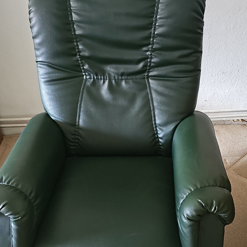 Grüner leder liegesessel mit - grüner, leder-liegesessel