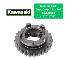 Kawasaki OEM 6