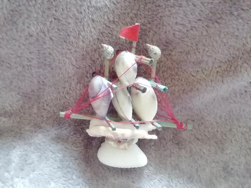 Dekoration deko muschel bot - muschel, /