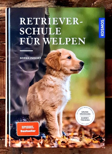 Retrieverschule für welpen - retrieverschule,