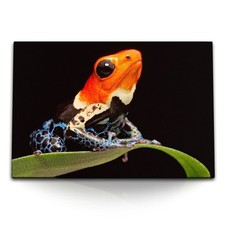 120x80cm Wandbild auf Leinwand