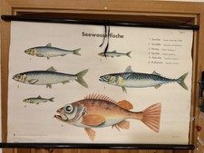 ALTE DDR-SCHULLANDKARTE