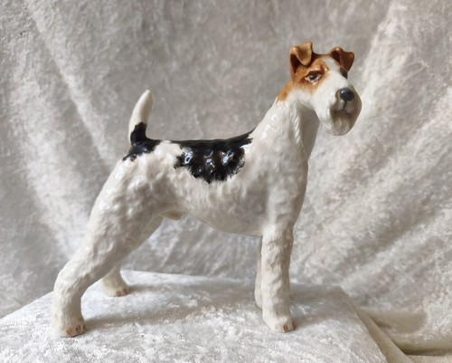 Foxterrier terrier jagdhund - foxterrier,