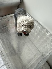 Schleich Hund Bobtail 16314