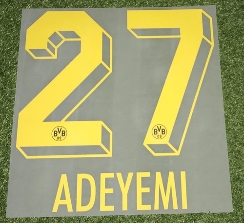 Karim adeyemi flock - karim, in