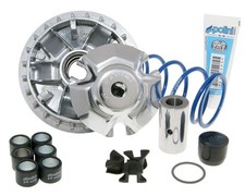 Variomatik Polini Maxi